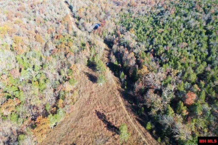 002-04087-000 Chappie Lane