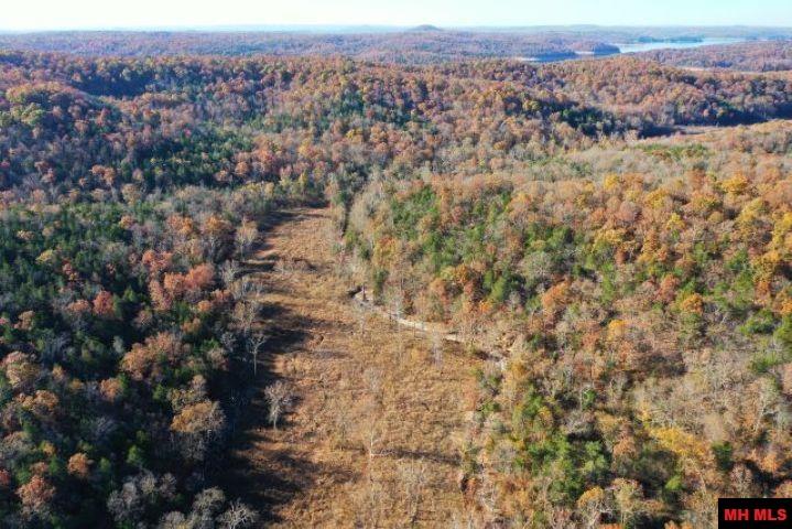 002-04087-000 Chappie Lane