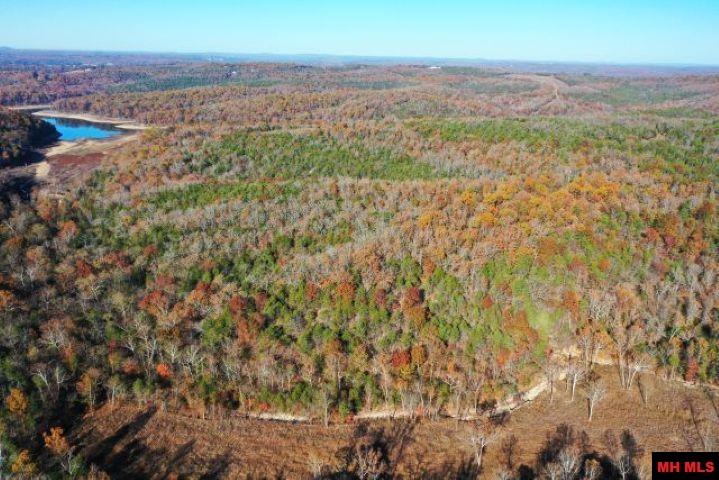 002-04087-000 Chappie Lane