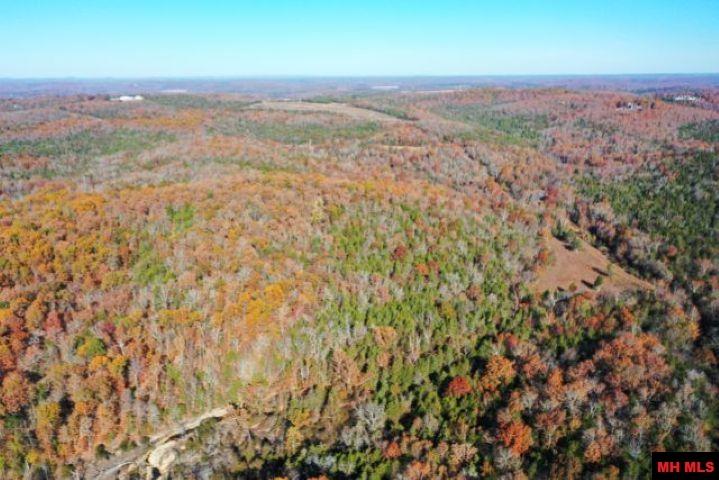 002-04087-000 Chappie Lane