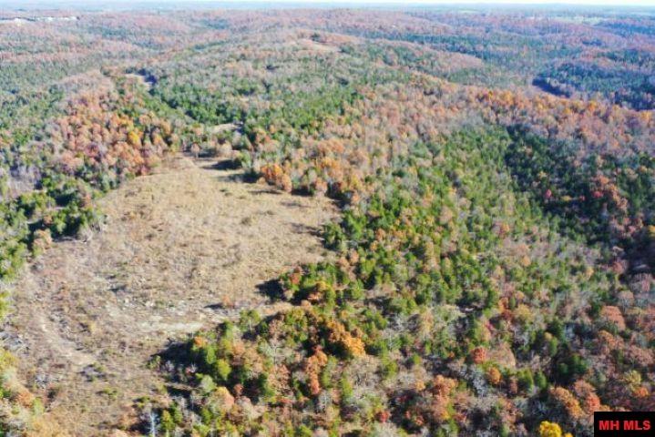 002-04087-000 Chappie Lane