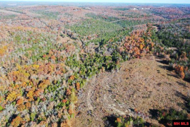 002-04087-000 Chappie Lane