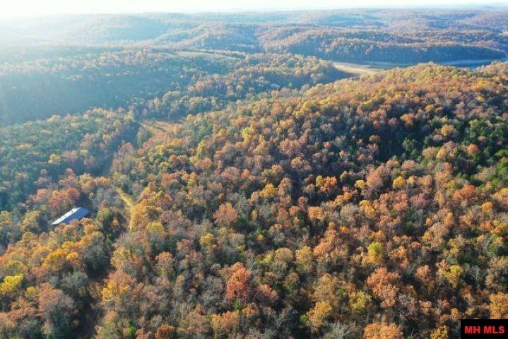 002-04087-000 Chappie Lane