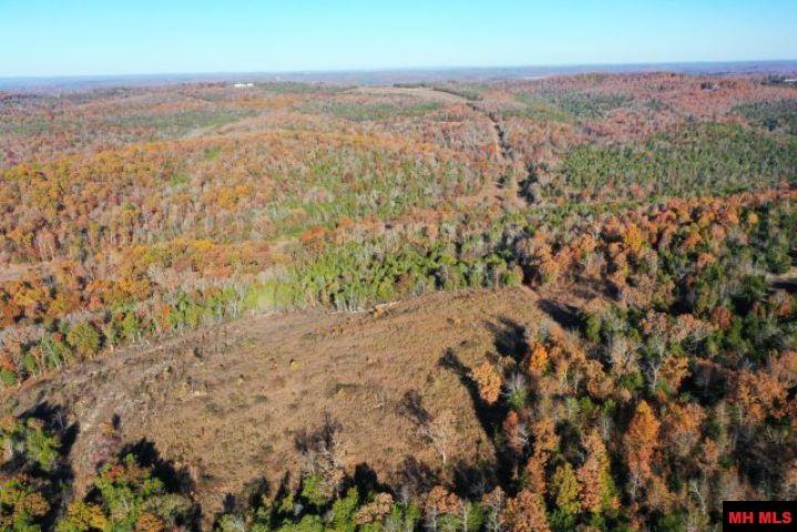 001-00776-000 Chappie Lane