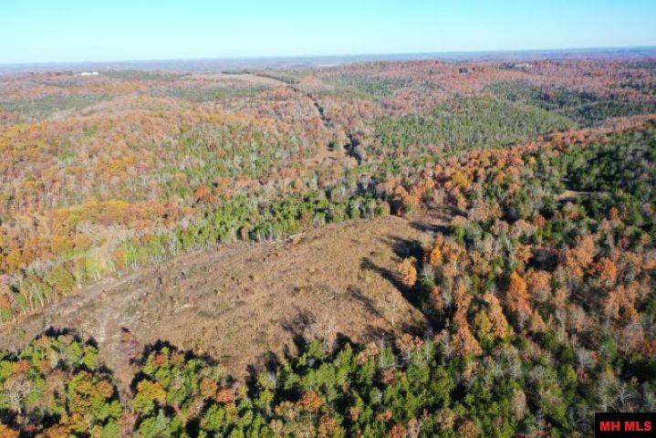 001-00776-000 Chappie Lane