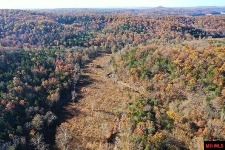 001-00776-000 Chappie Lane