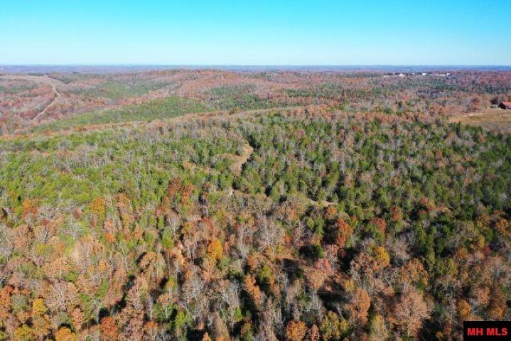 001-00776-000 Chappie Lane