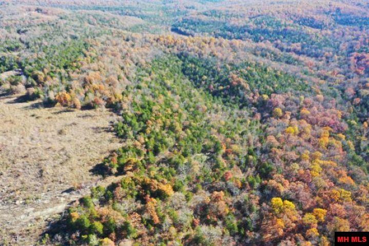 001-00776-000 Chappie Lane