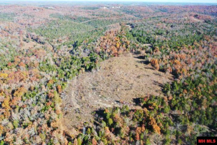 001-00776-000 Chappie Lane