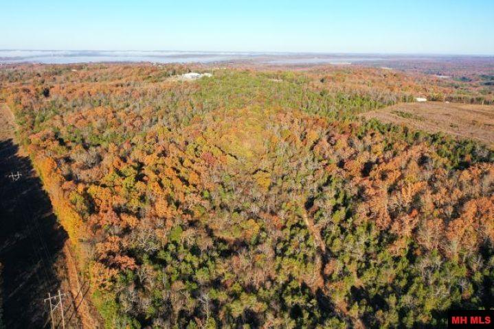 001-00776-000 Chappie Lane