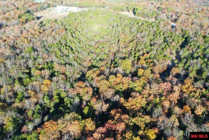 001-00776-000 Chappie Lane