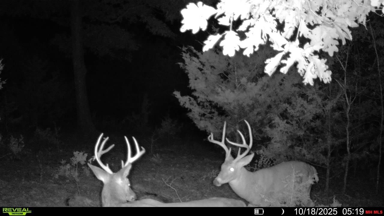 118 Linda Vista Lane