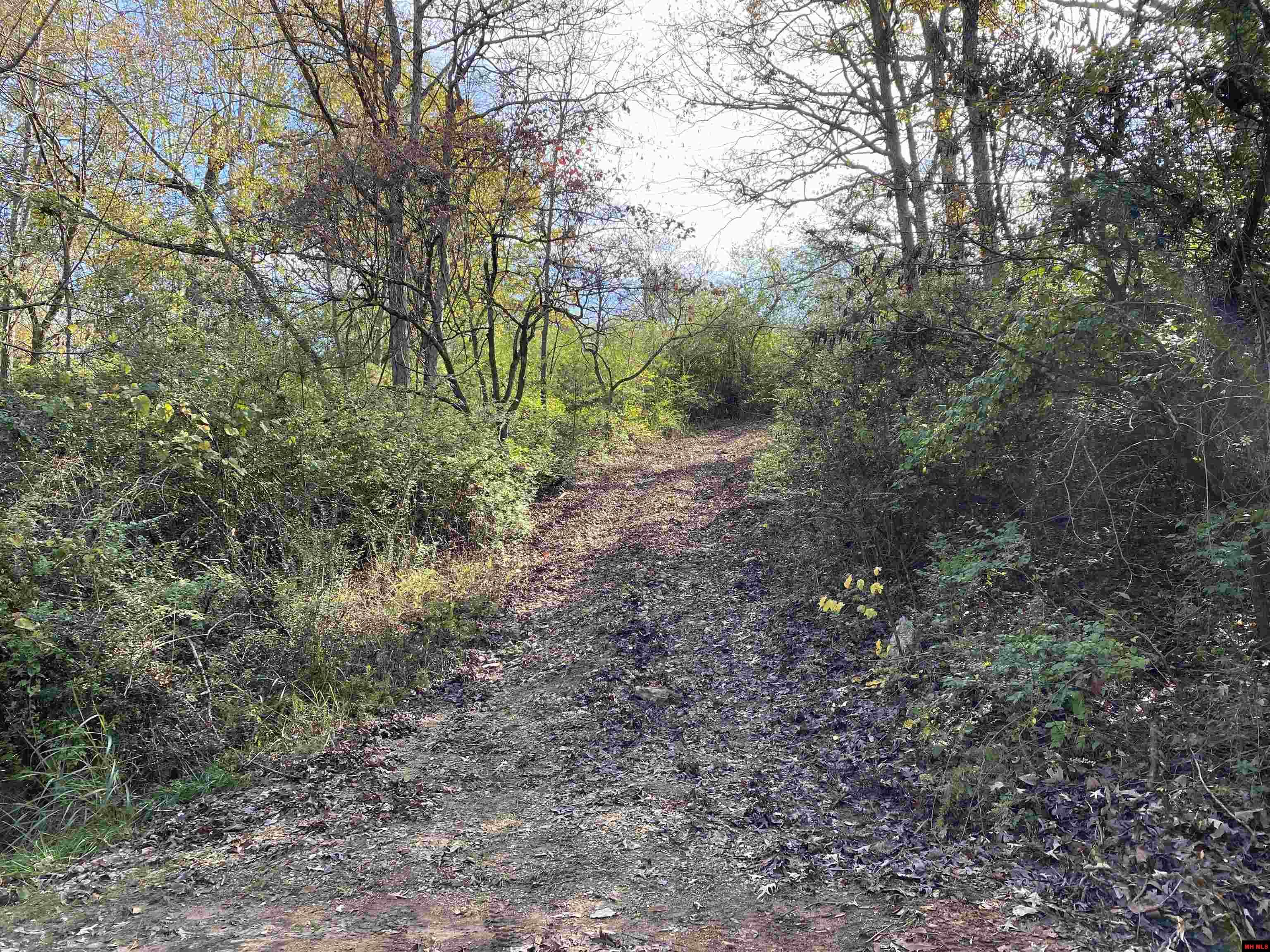 760-19585-000 Sandot Drive