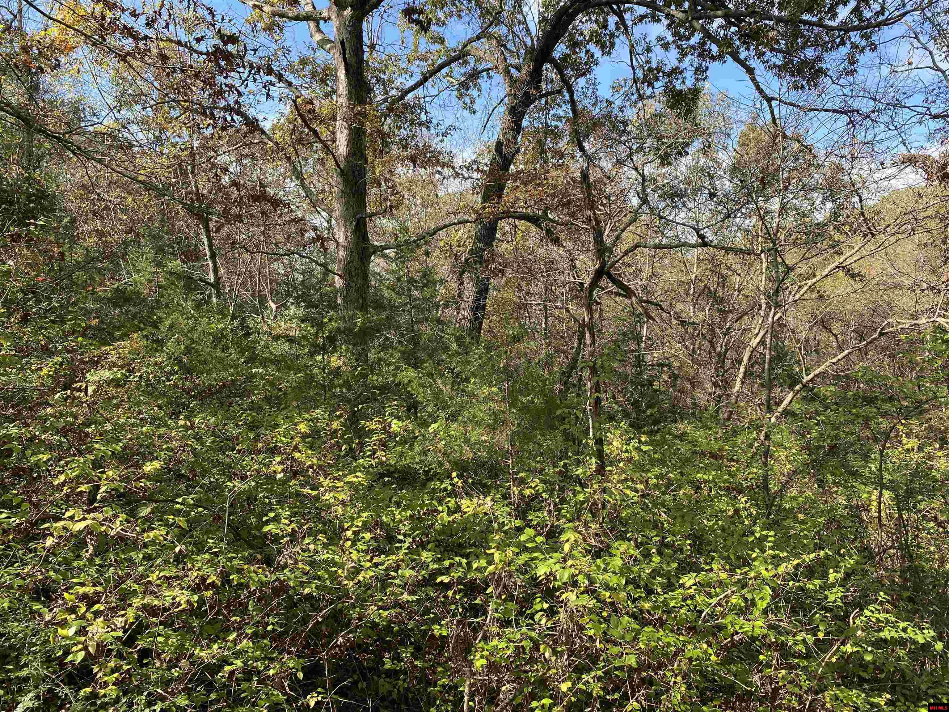 760-19585-000 Sandot Drive