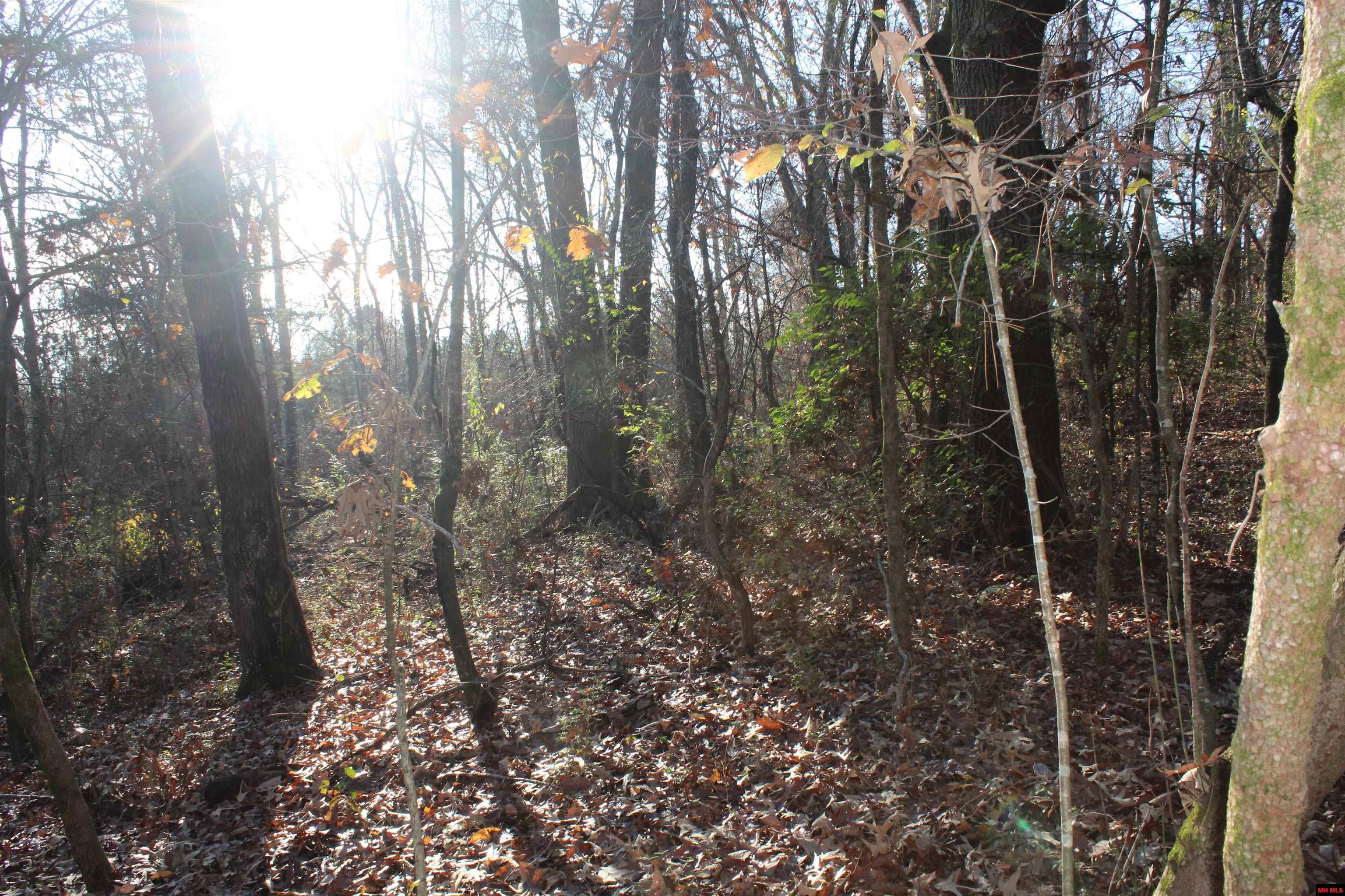 001-04740-000 Mc 5045