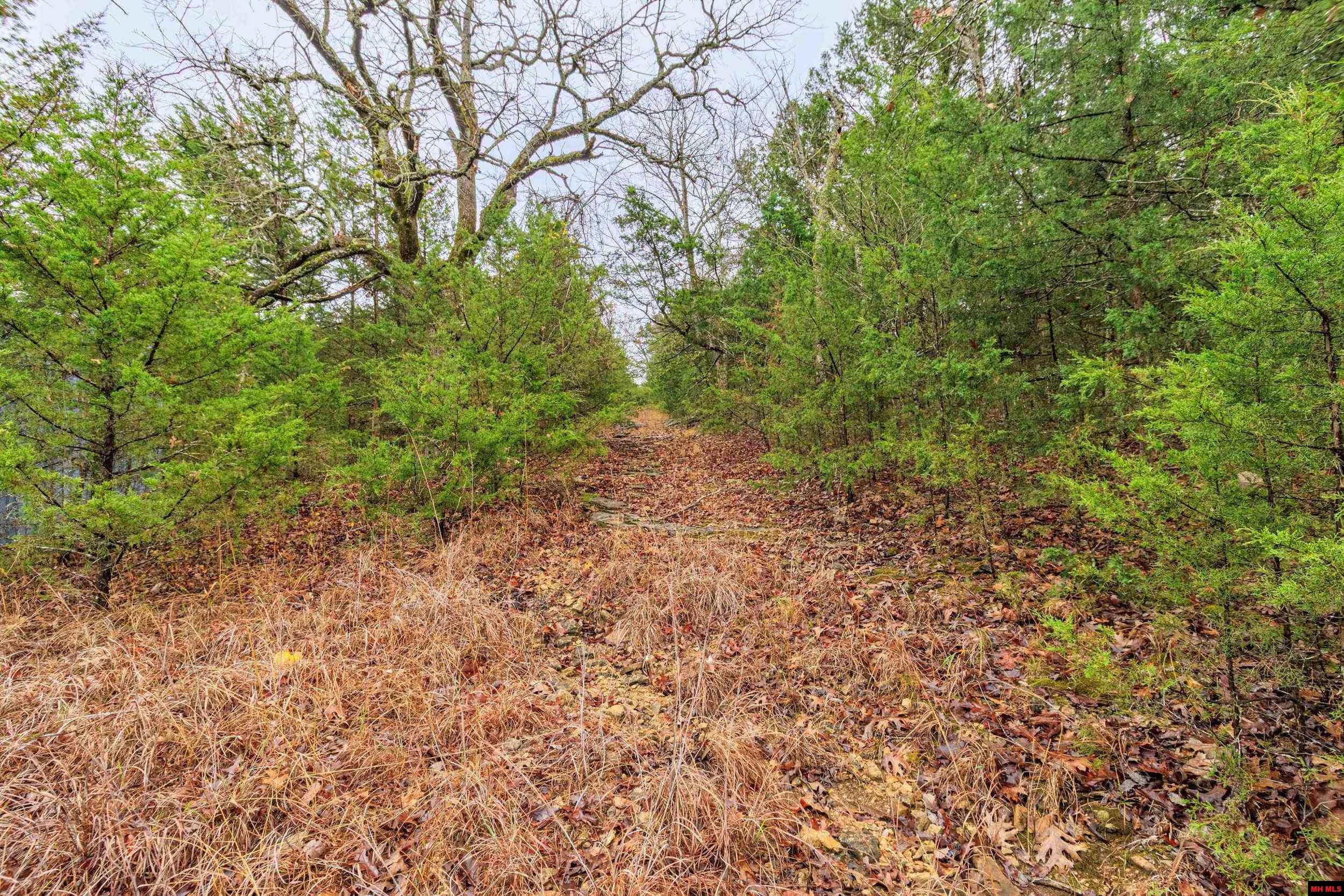 001-03108-000 Mc 125