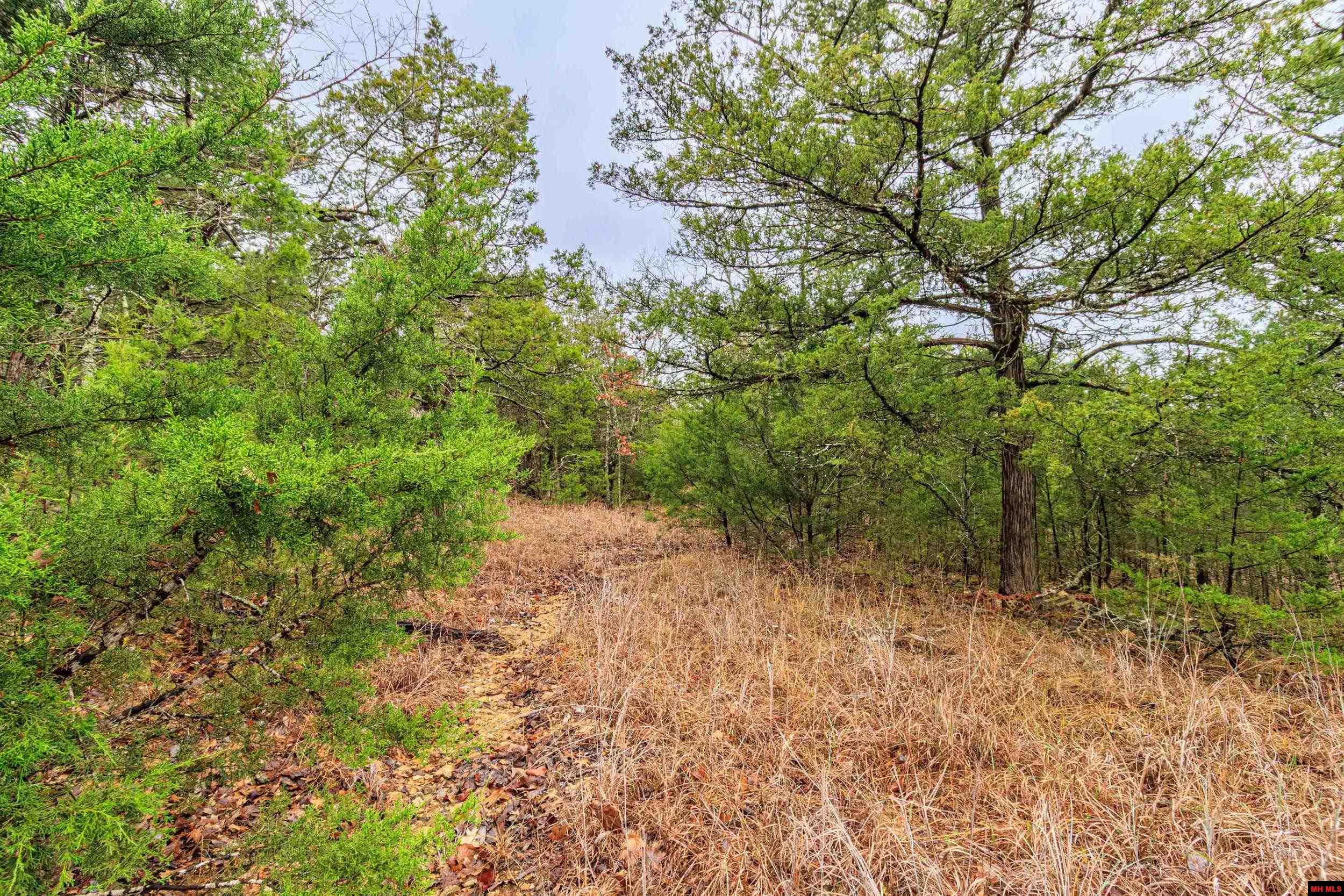 001-03108-000 Mc 125