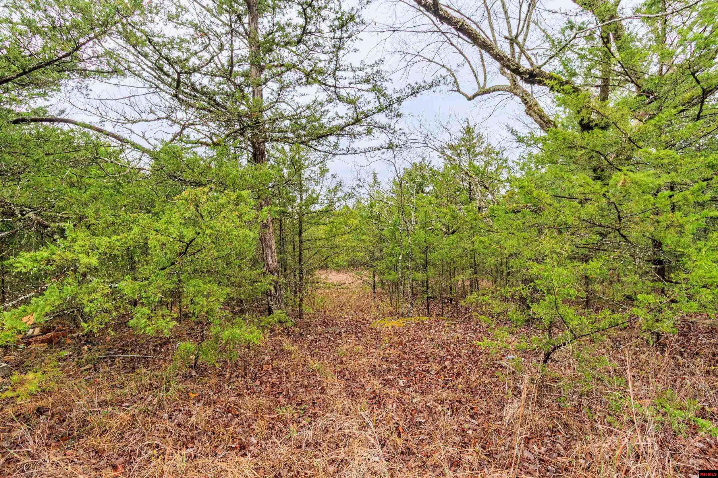 001-03108-000 Mc 125