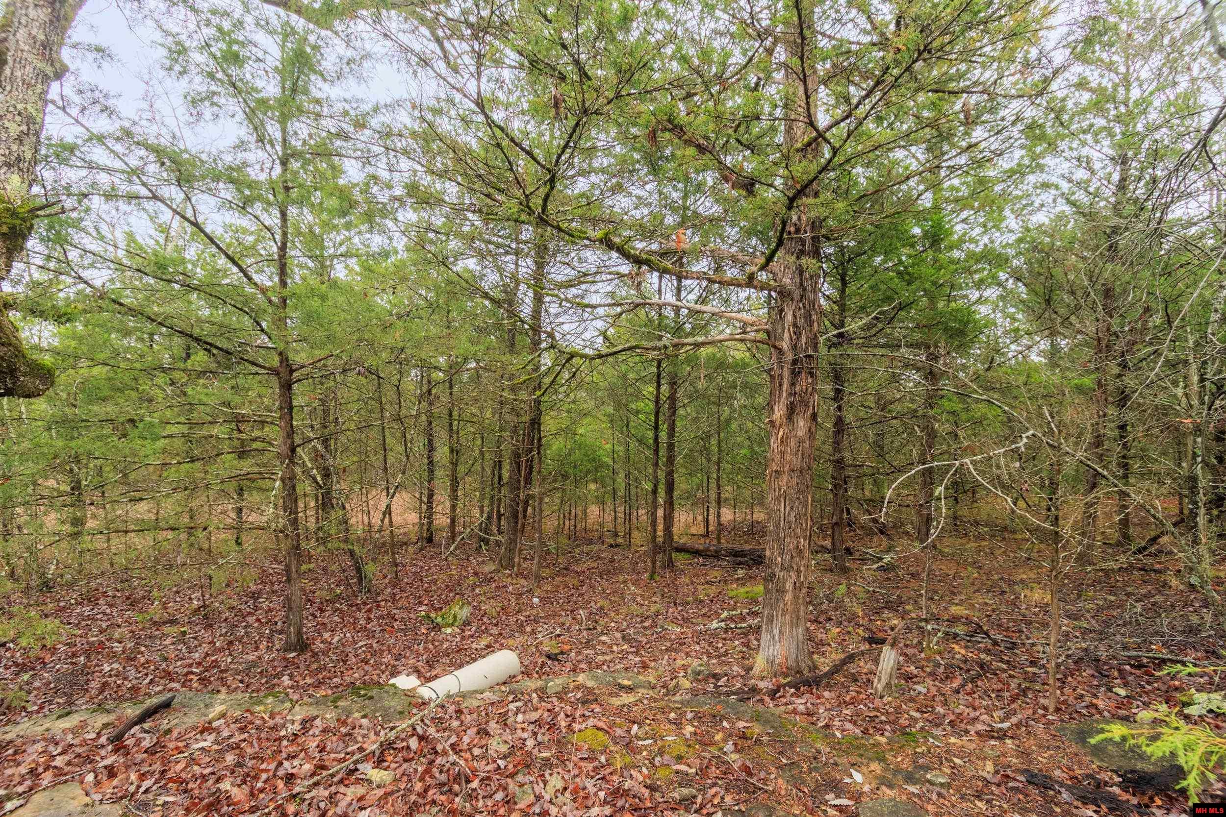 001-03108-000 Mc 125