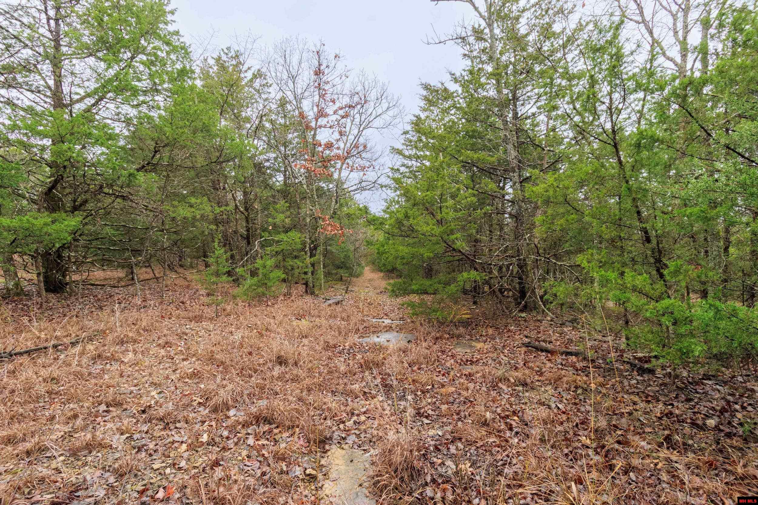 001-03108-000 Mc 125