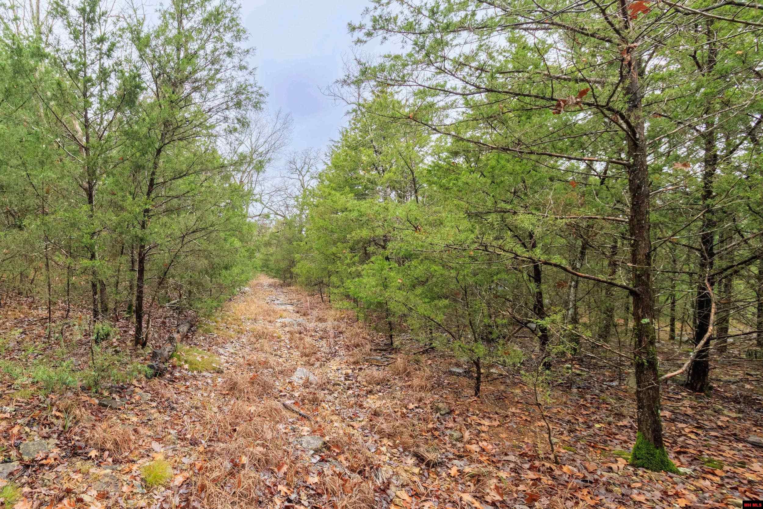 001-03108-000 Mc 125