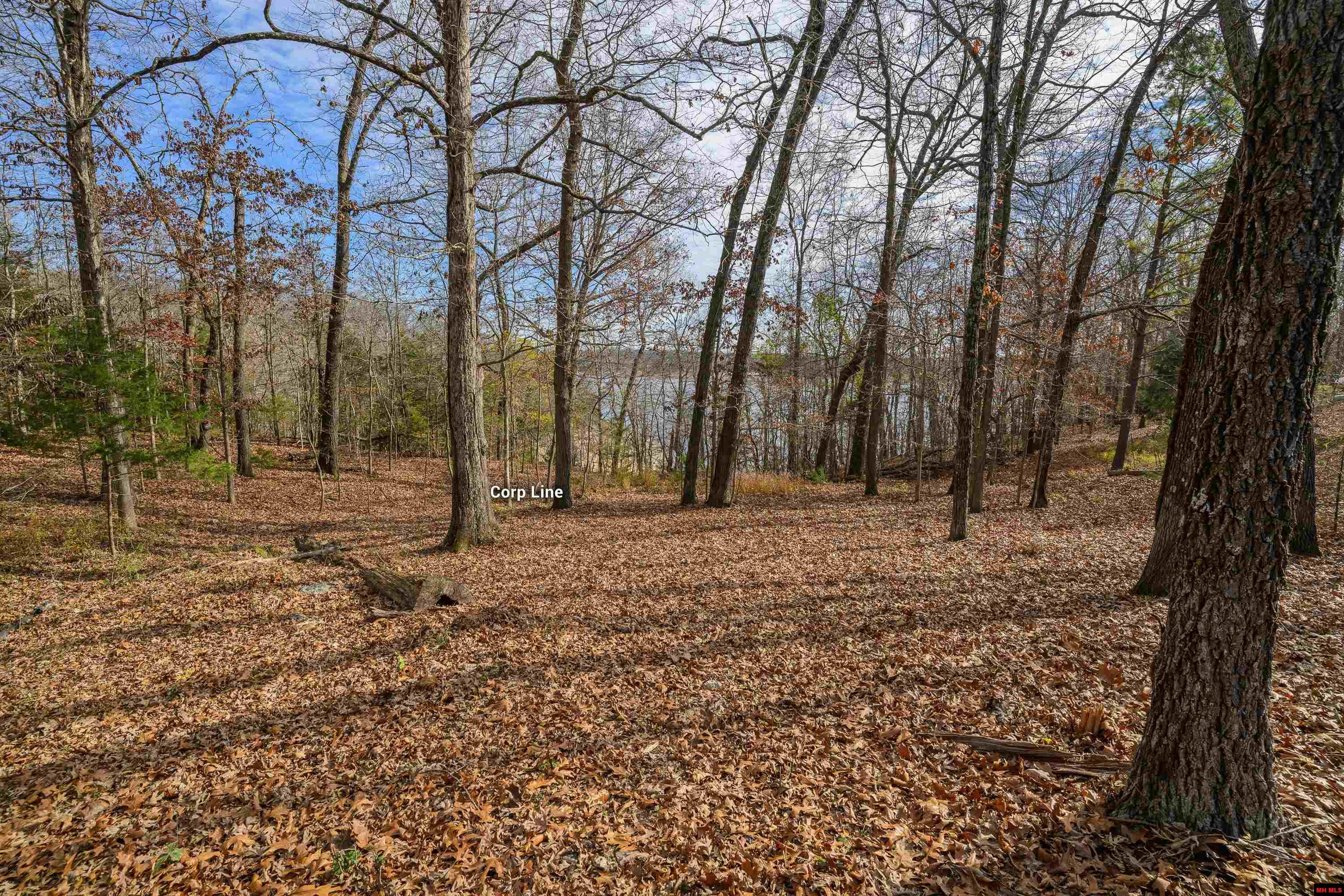 Lots 15-16 Canterbury