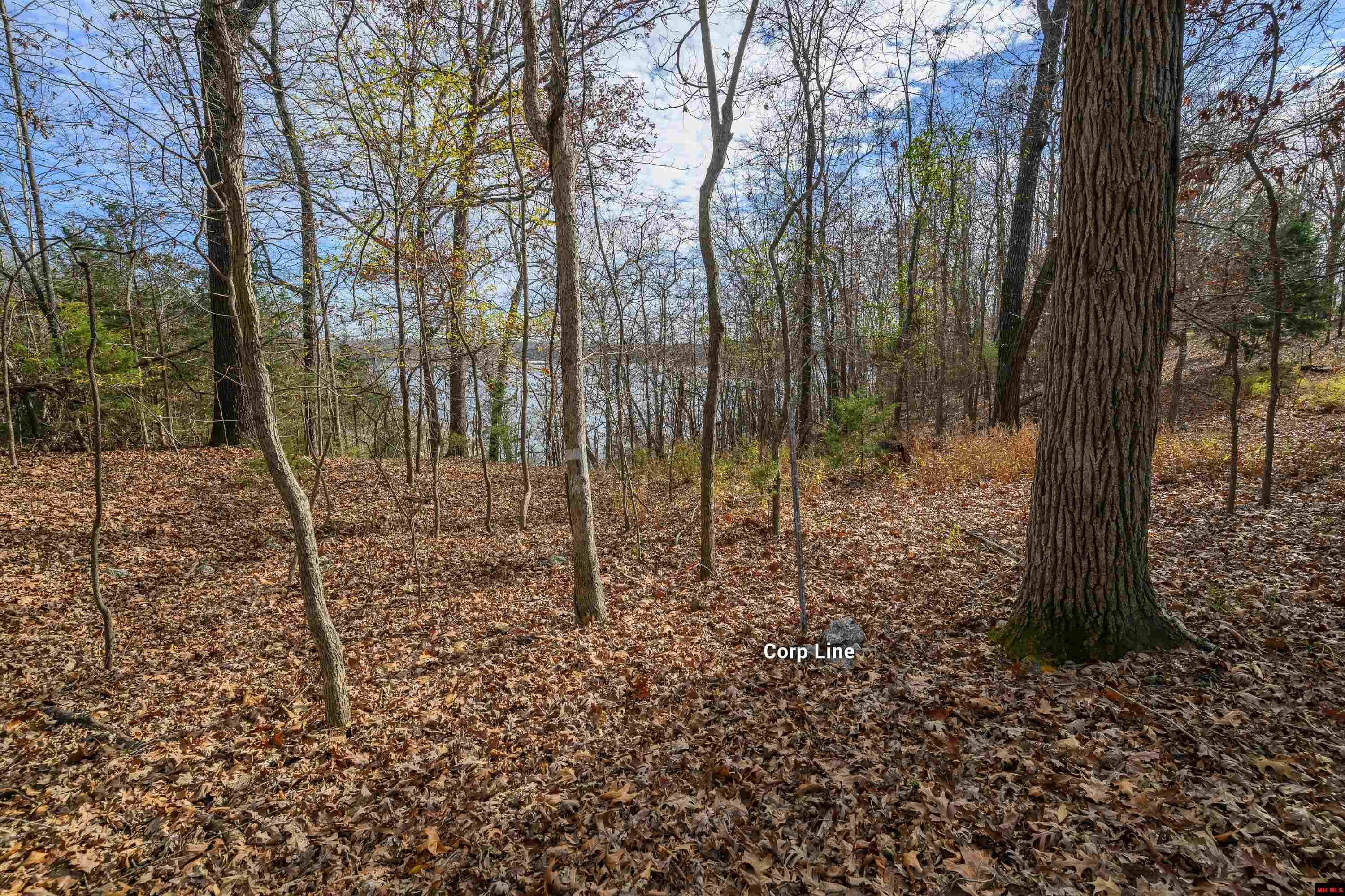 Lots 15-16 Canterbury