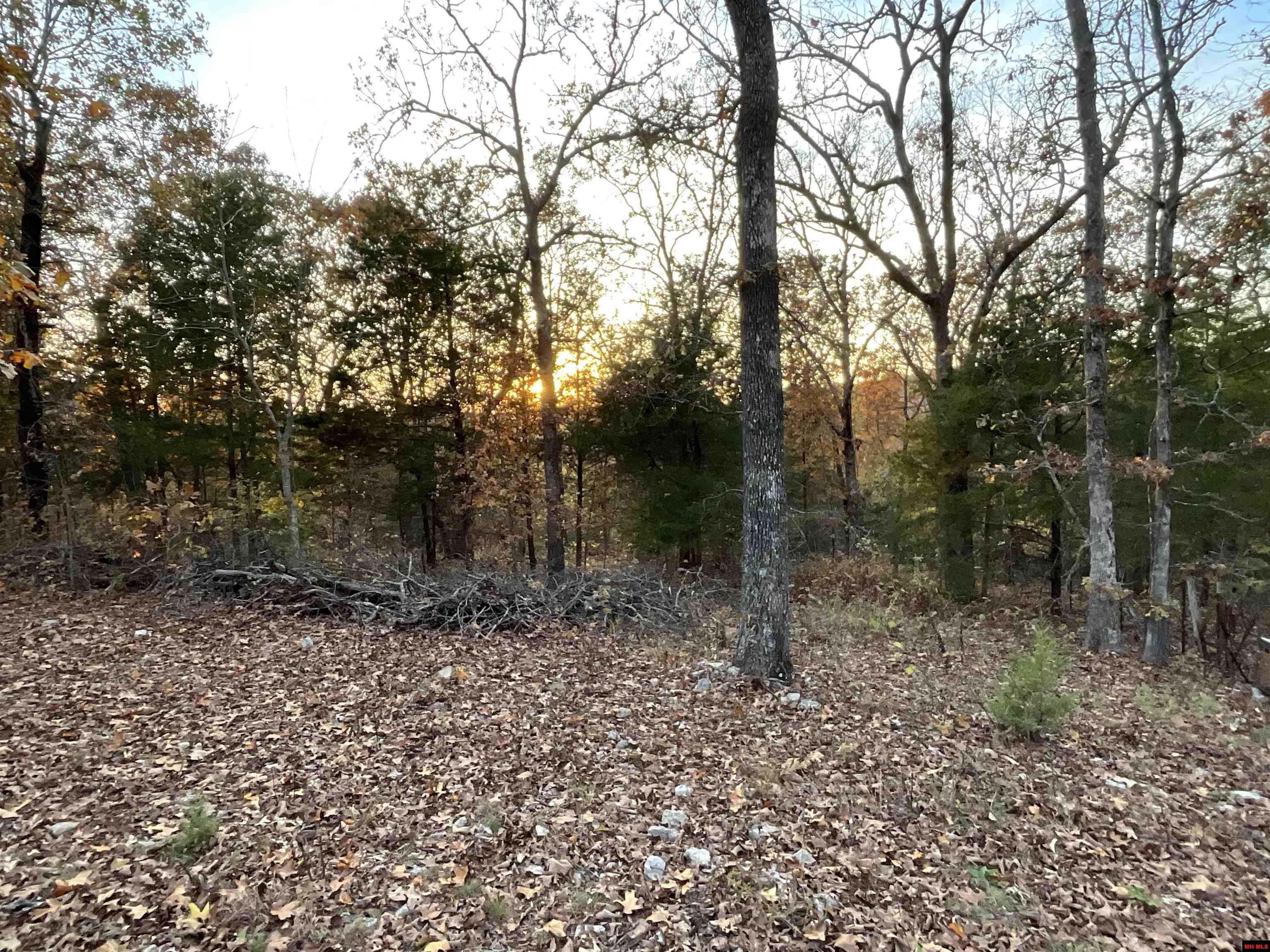 180111000000001 LEDBETTER HOLLOW Theodosia, MO