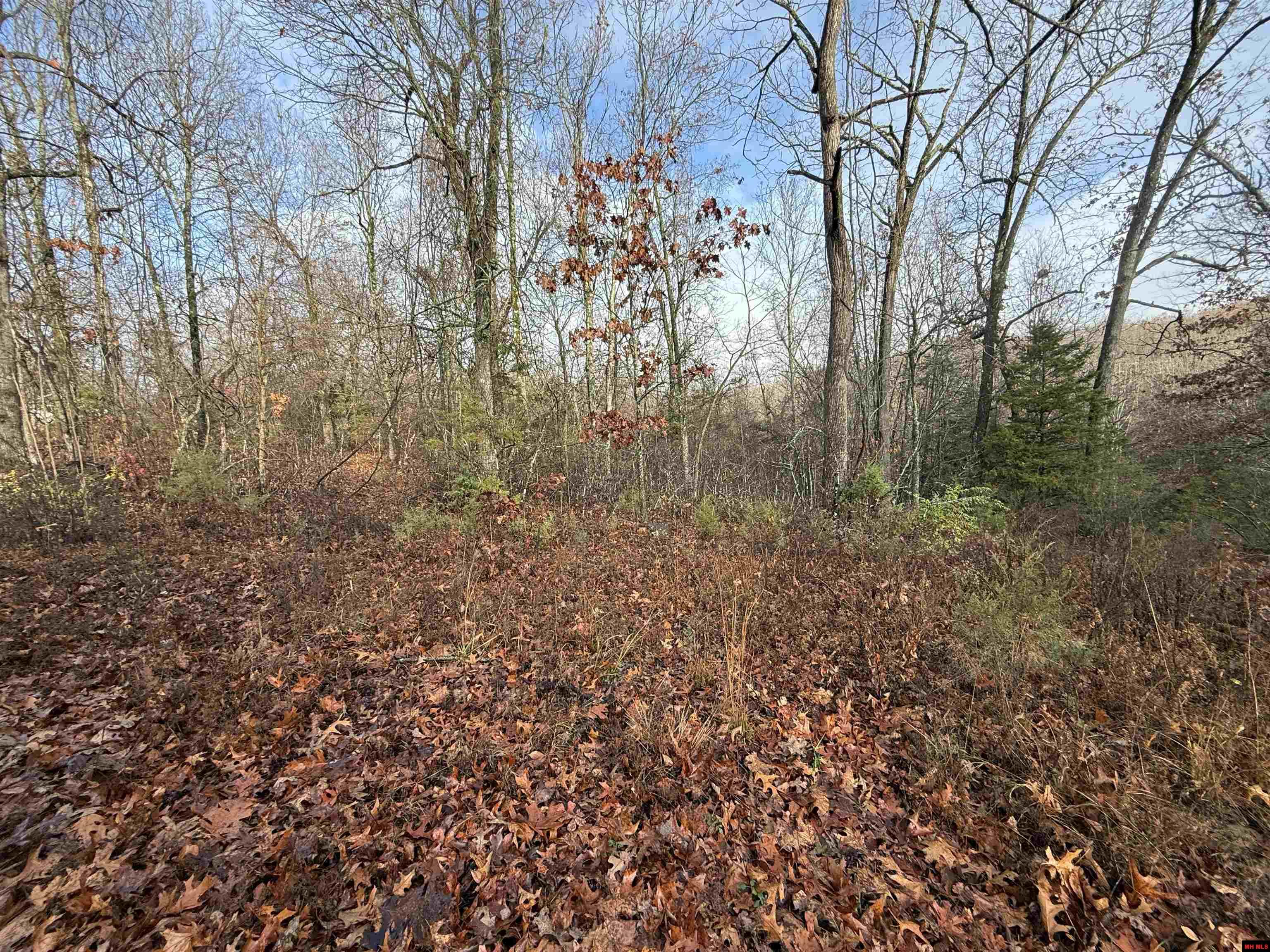 549-00828-000 Dogwood Drive