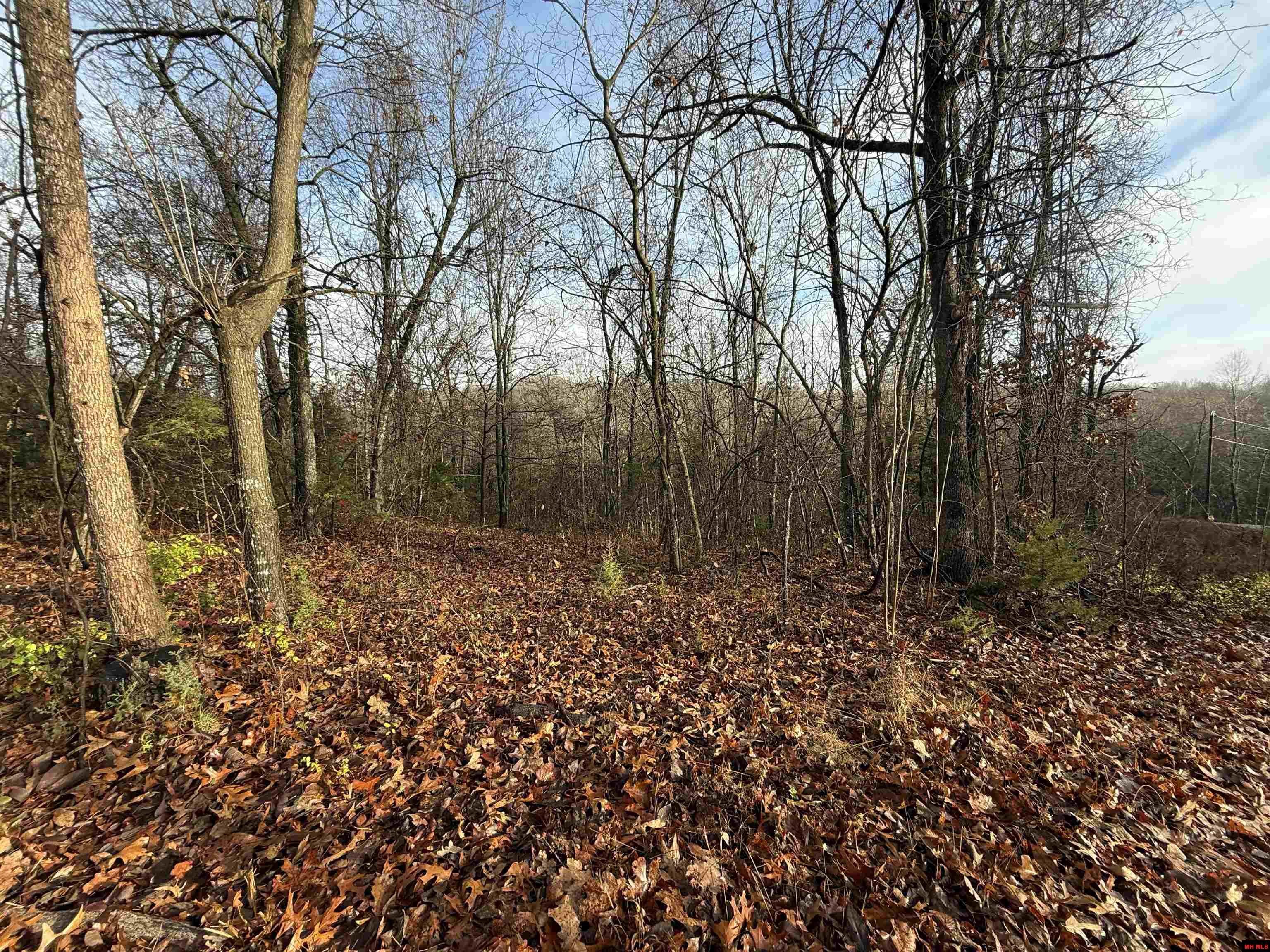 549-00828-000 Dogwood Drive