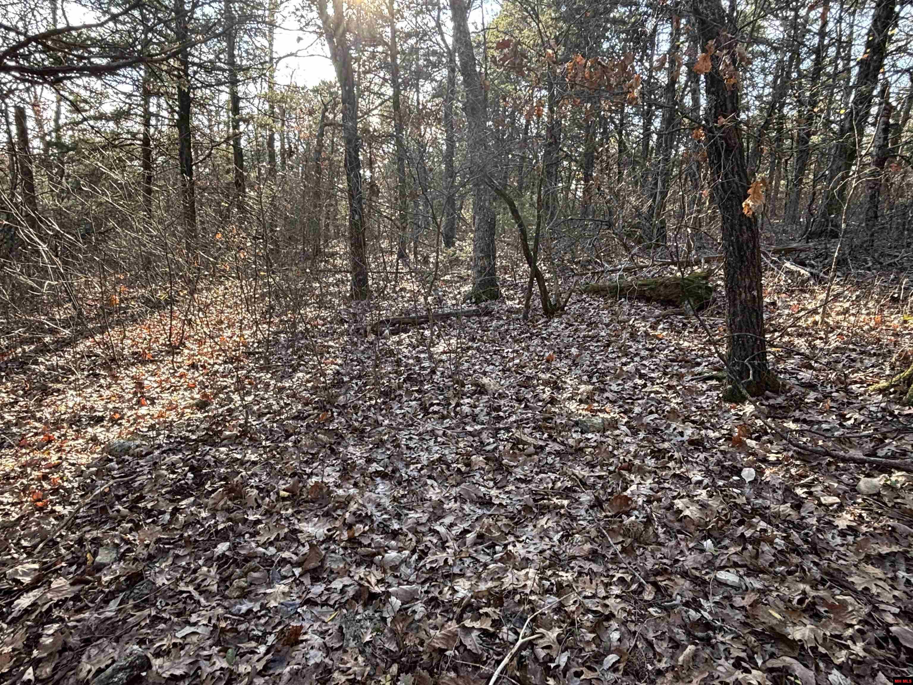 555-00002-000 Mc 3063