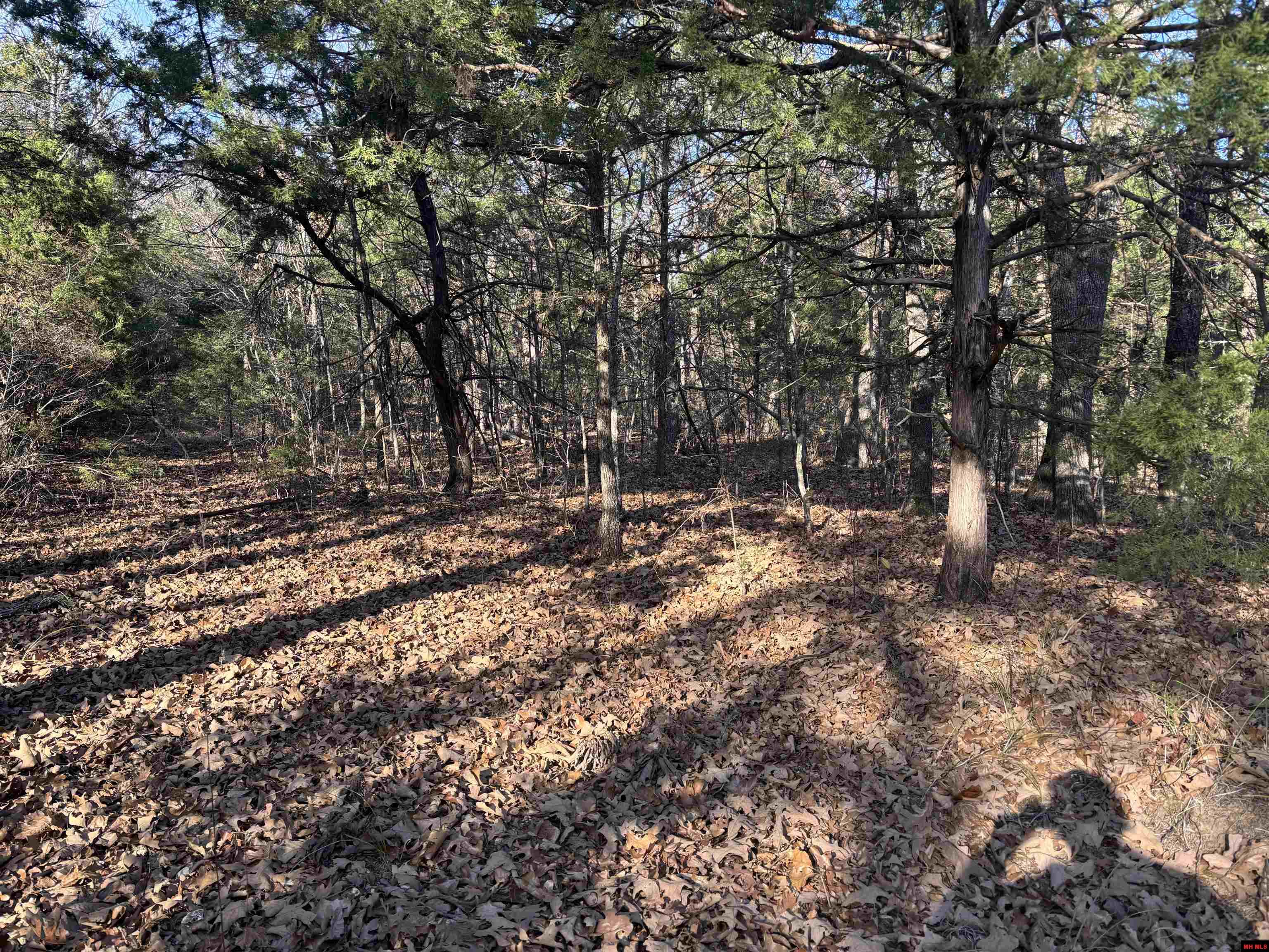 555-00002-000 Mc 3063