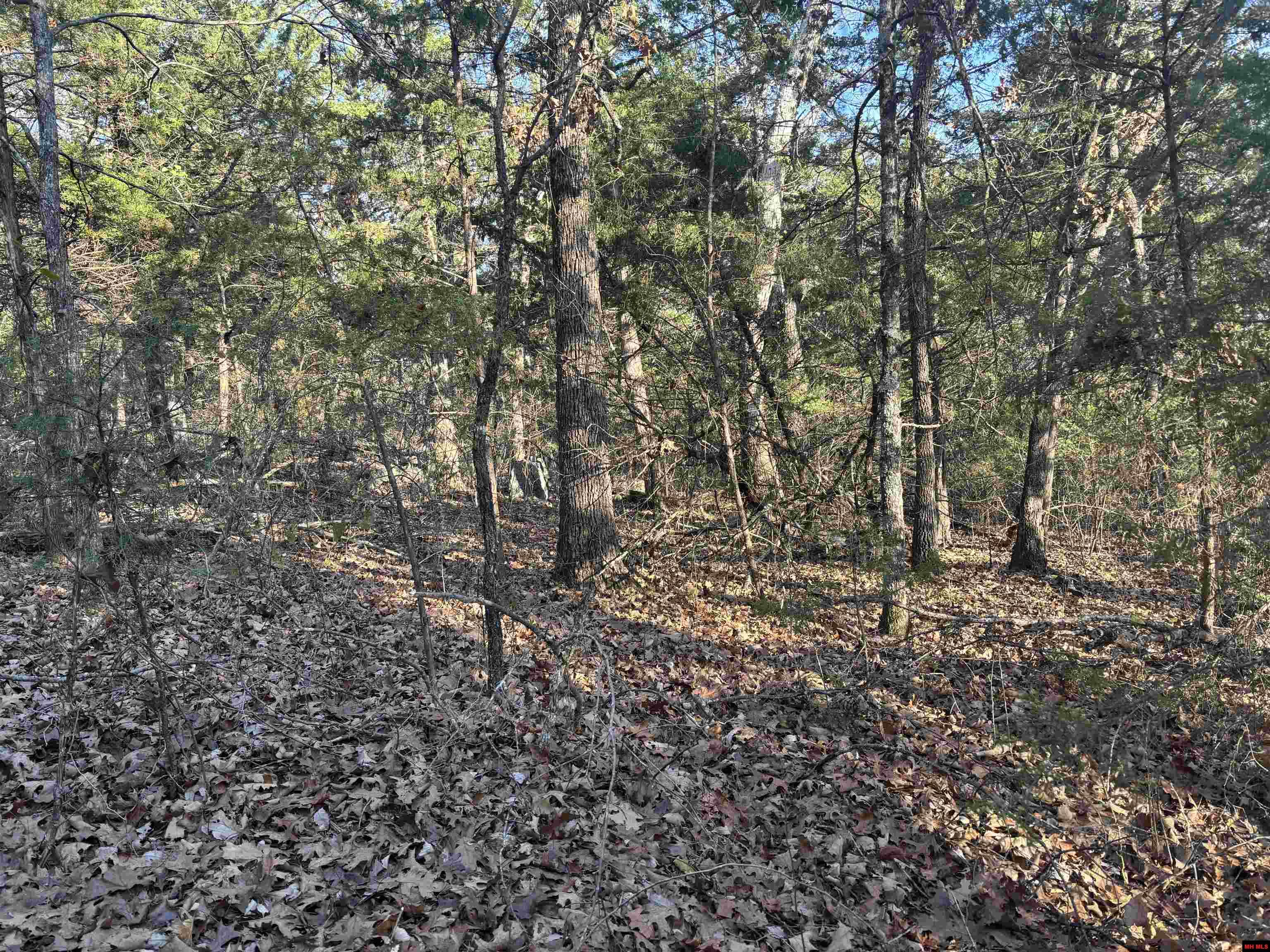 555-00002-000 Mc 3063