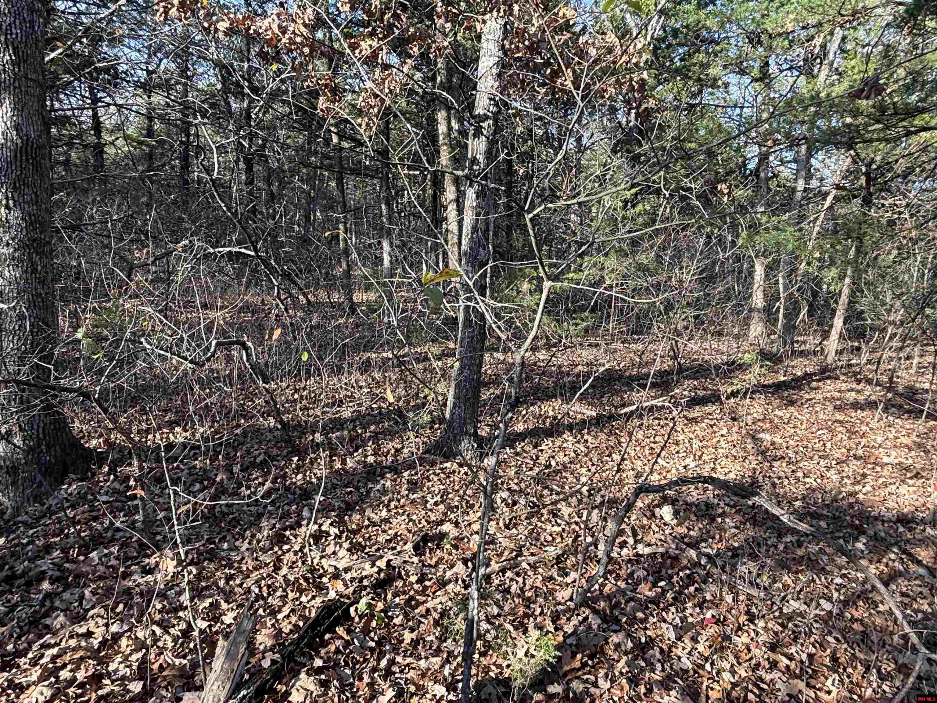 555-00002-000 Mc 3063