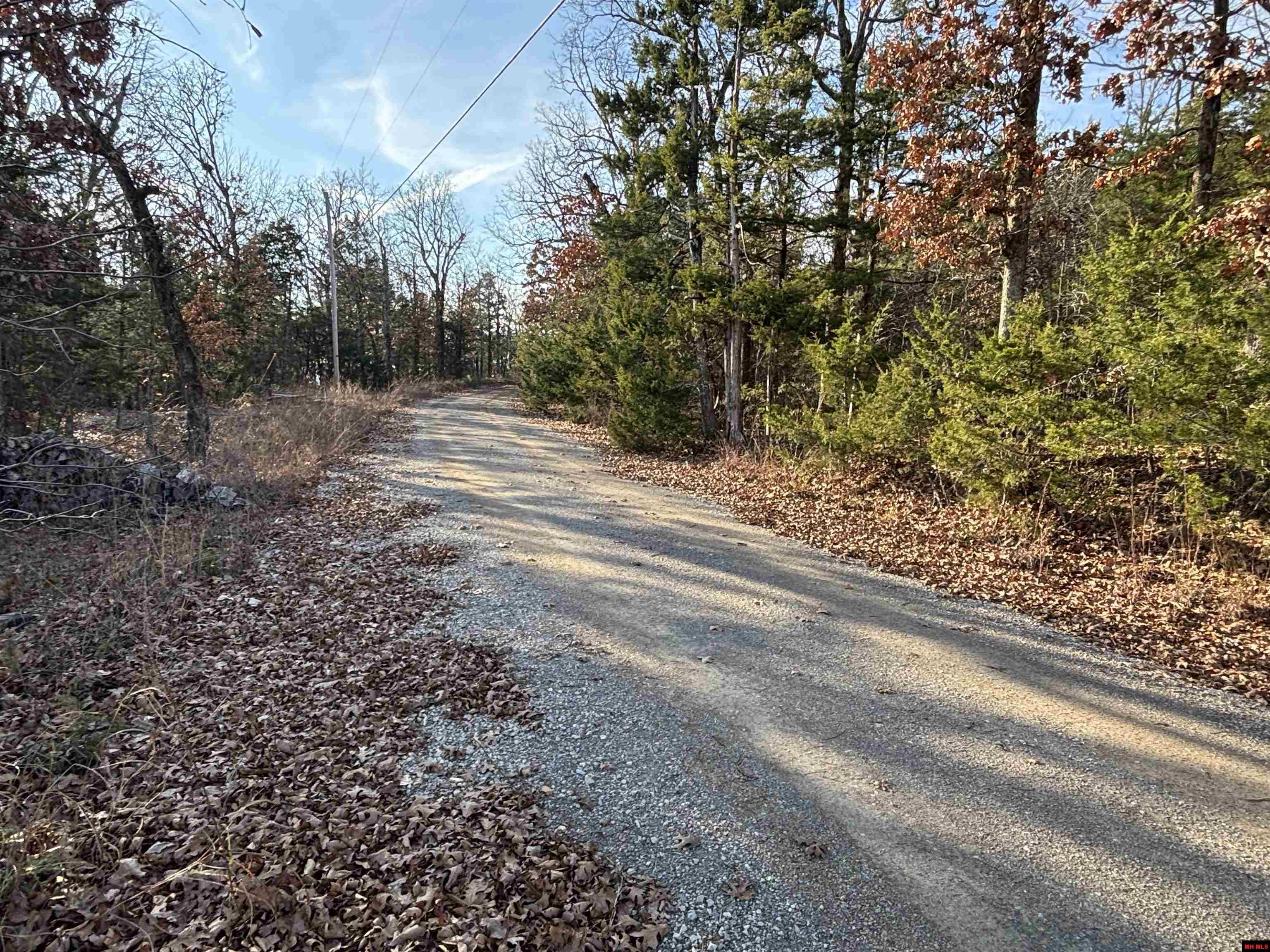 555-00002-000 Mc 3063