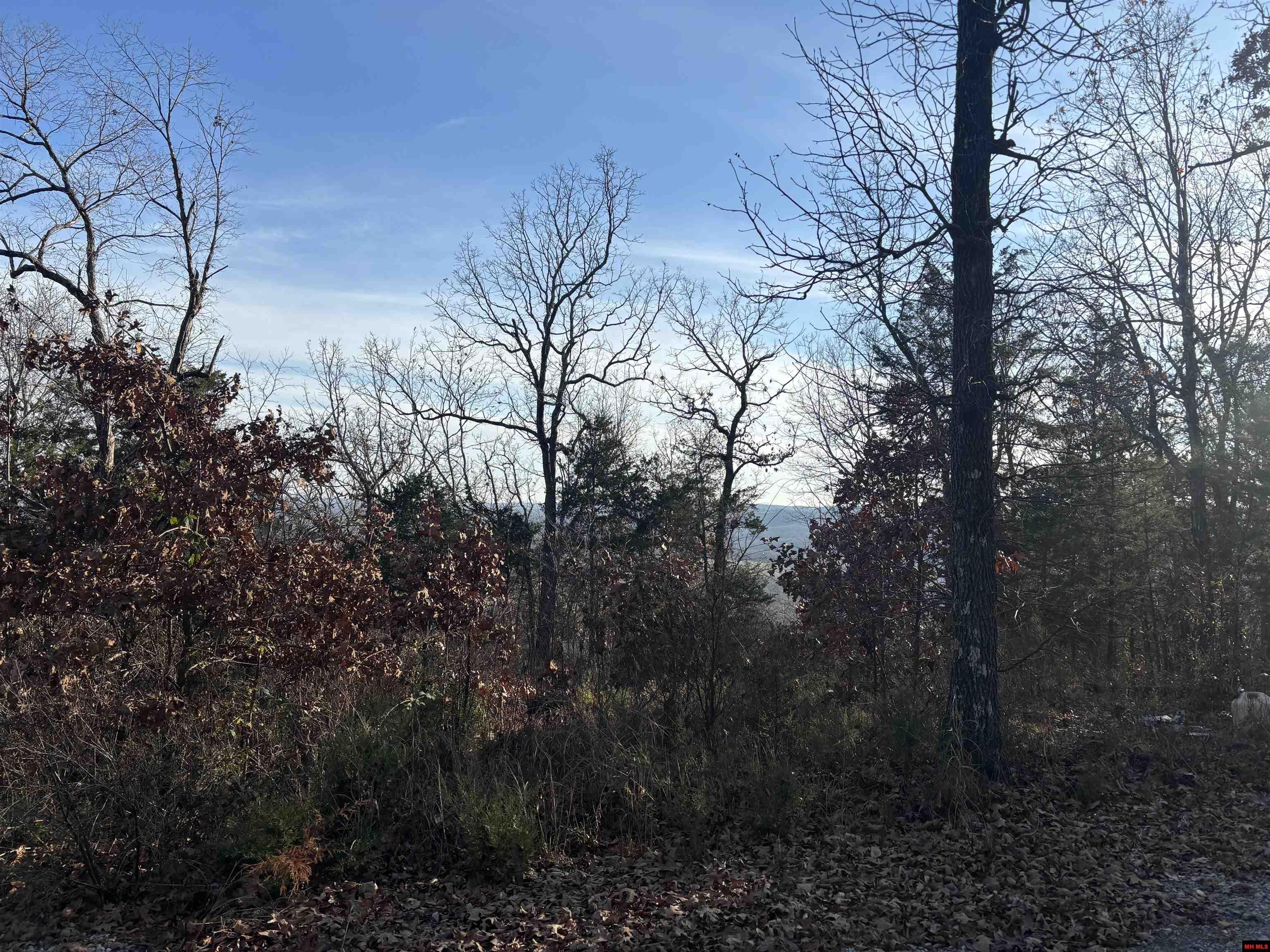 555-00002-000 Mc 3063