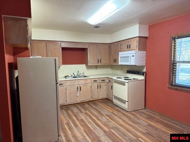 144 Woods Point Road