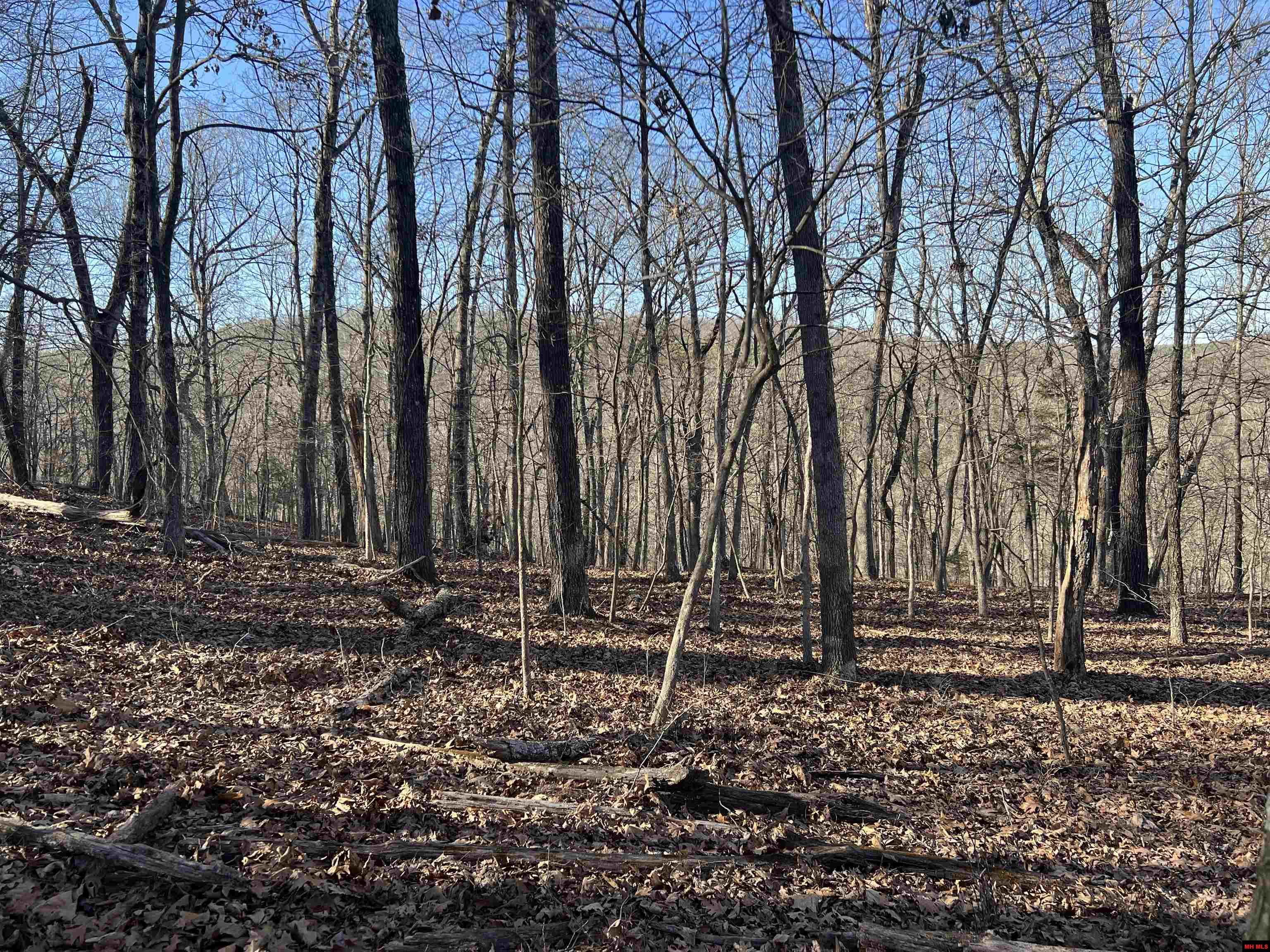 MC 8060 Yellville, AR 72687