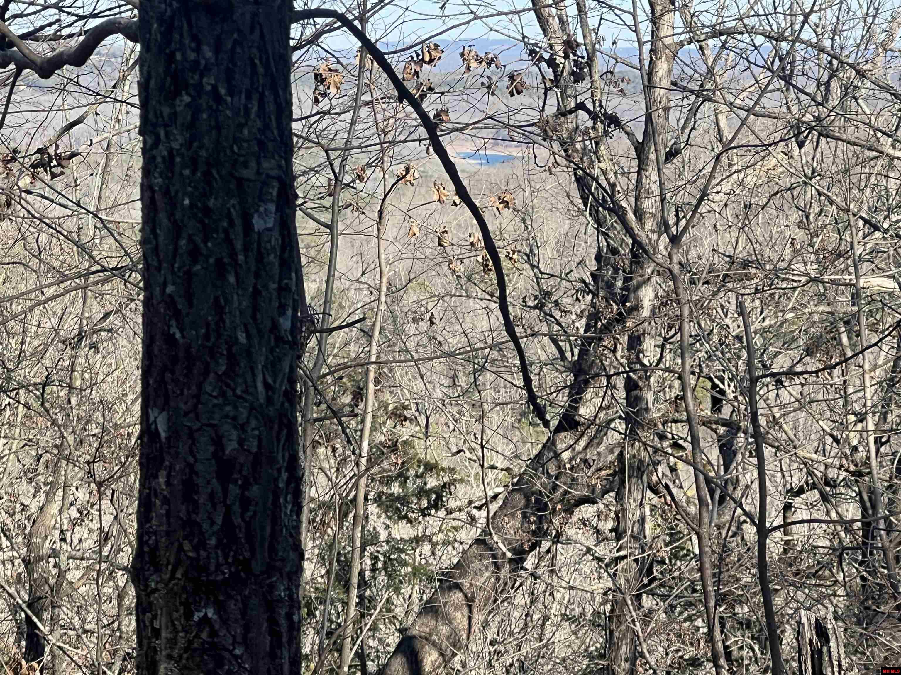 MC 8060 Yellville, AR 72687