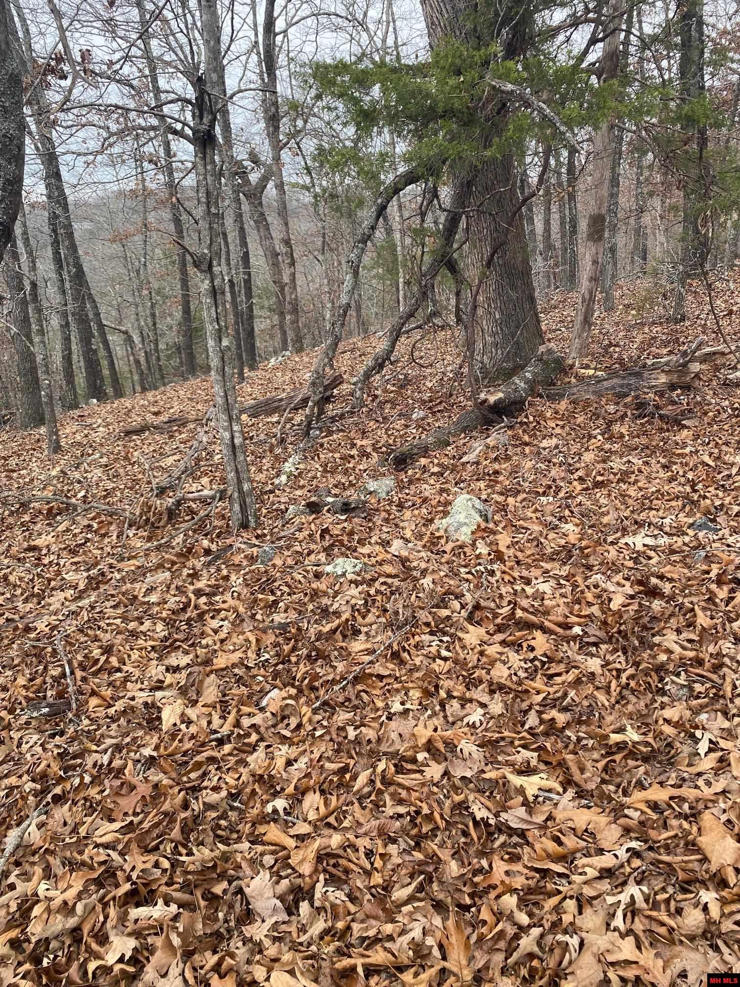 001-02798-001 Island Head Lane