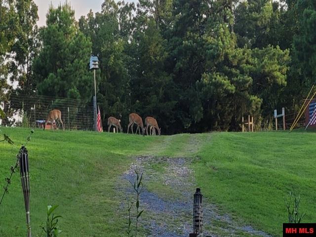 5834 Trace Ridge Road