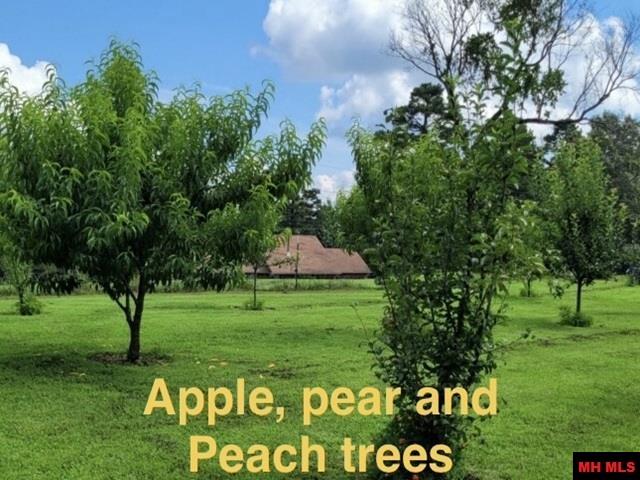 5834 Trace Ridge Road