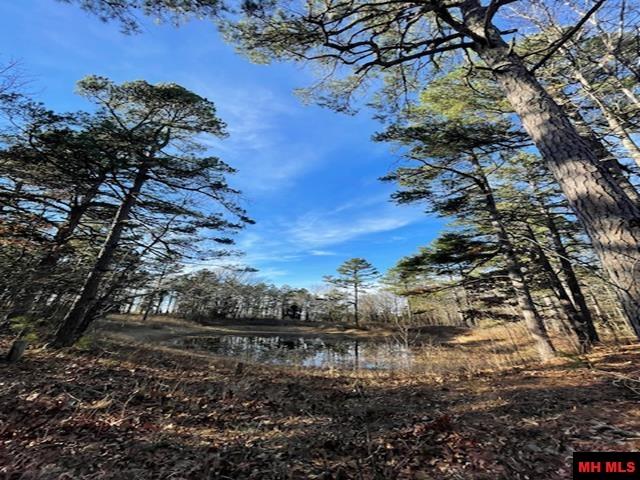 5834 Trace Ridge Road