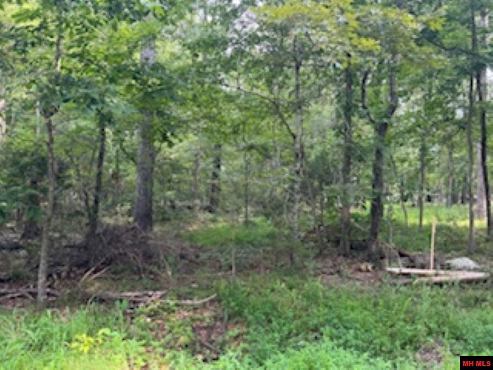 002-05048-000 Saratoga Place