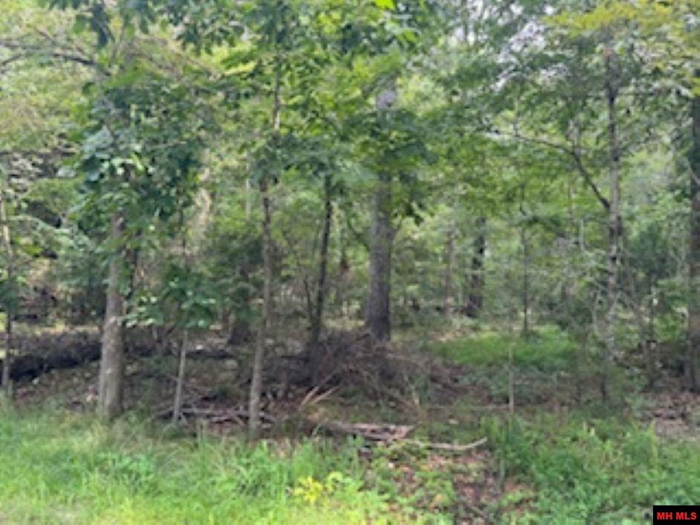 002-05048-000 Saratoga Place