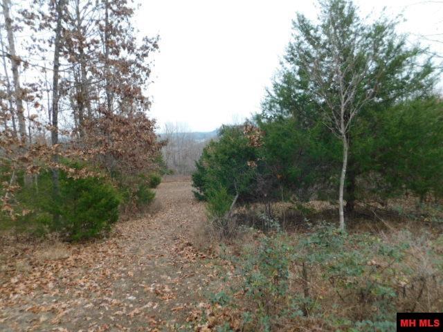 1944 Woods Point Road