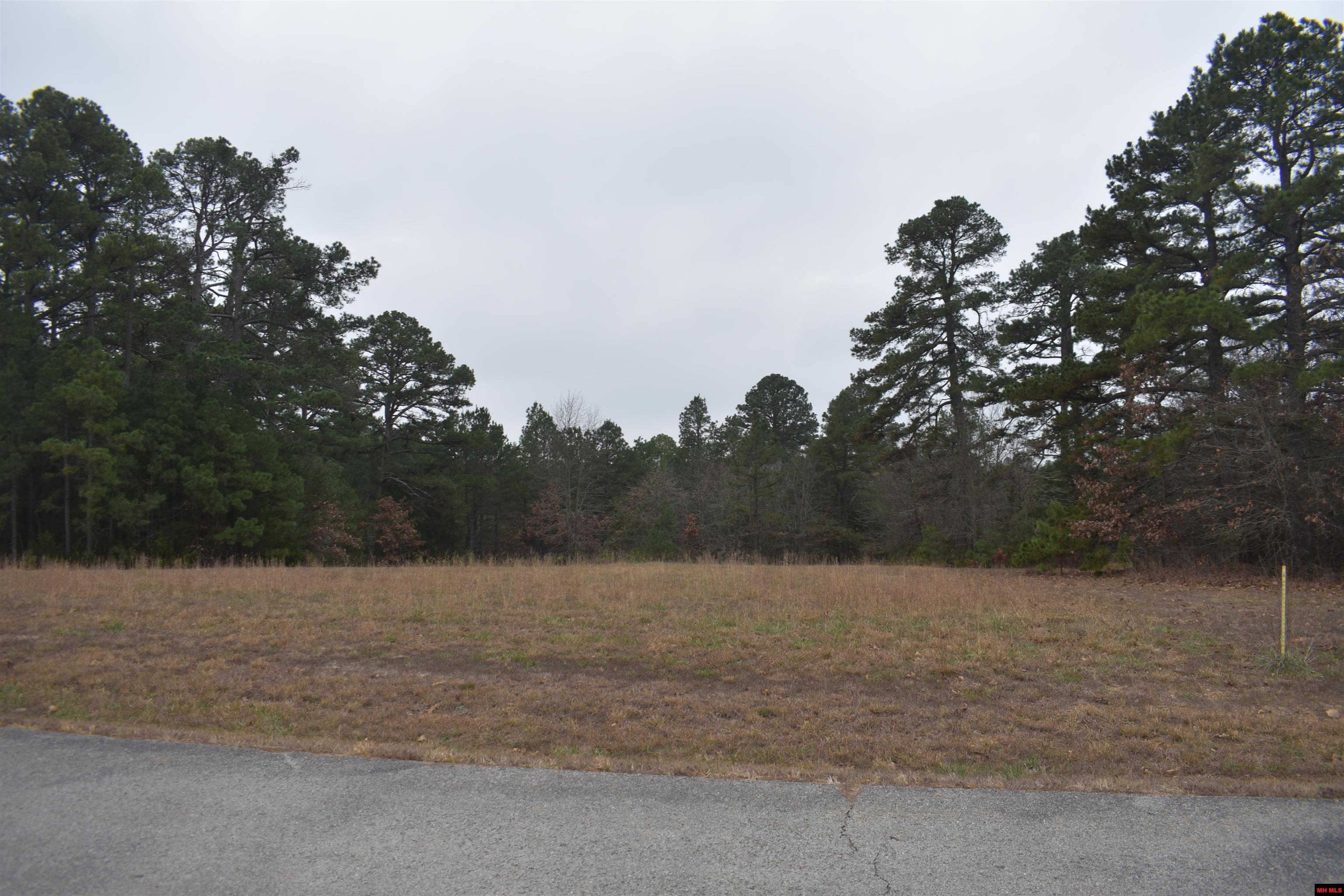 010-11219-038 Swiss Alps Lane