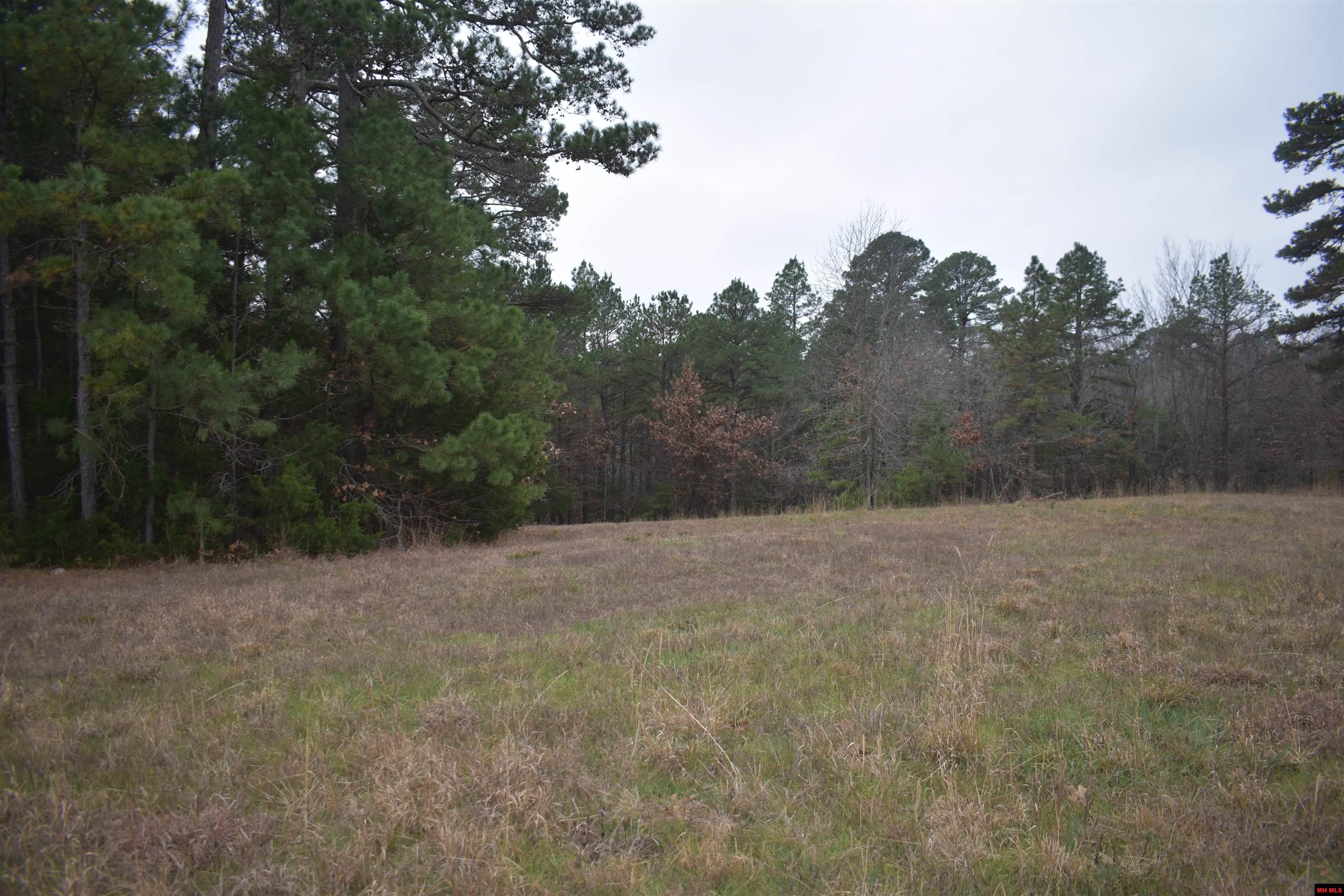 010-11219-038 Swiss Alps Lane