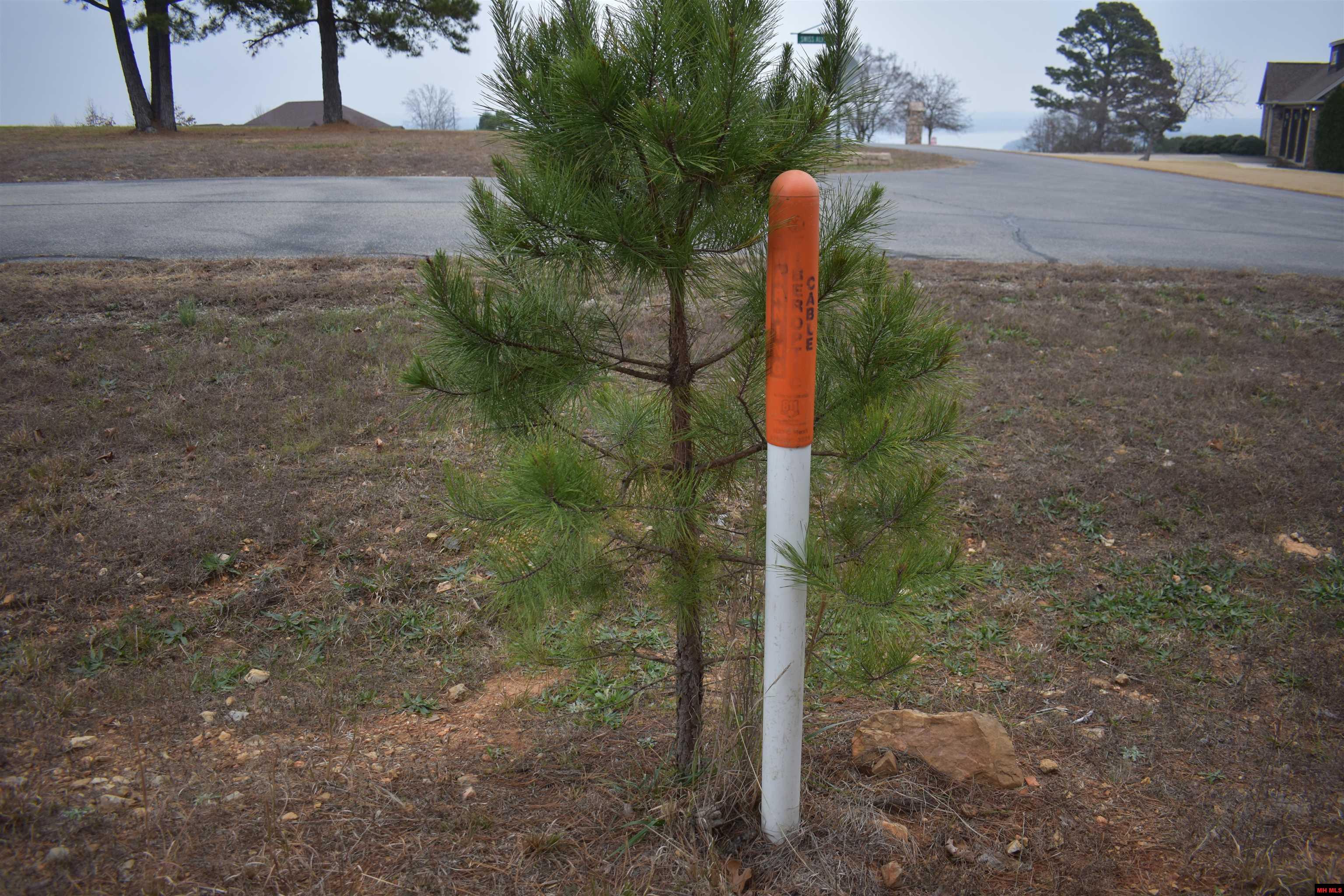 010-11219-038 Swiss Alps Lane