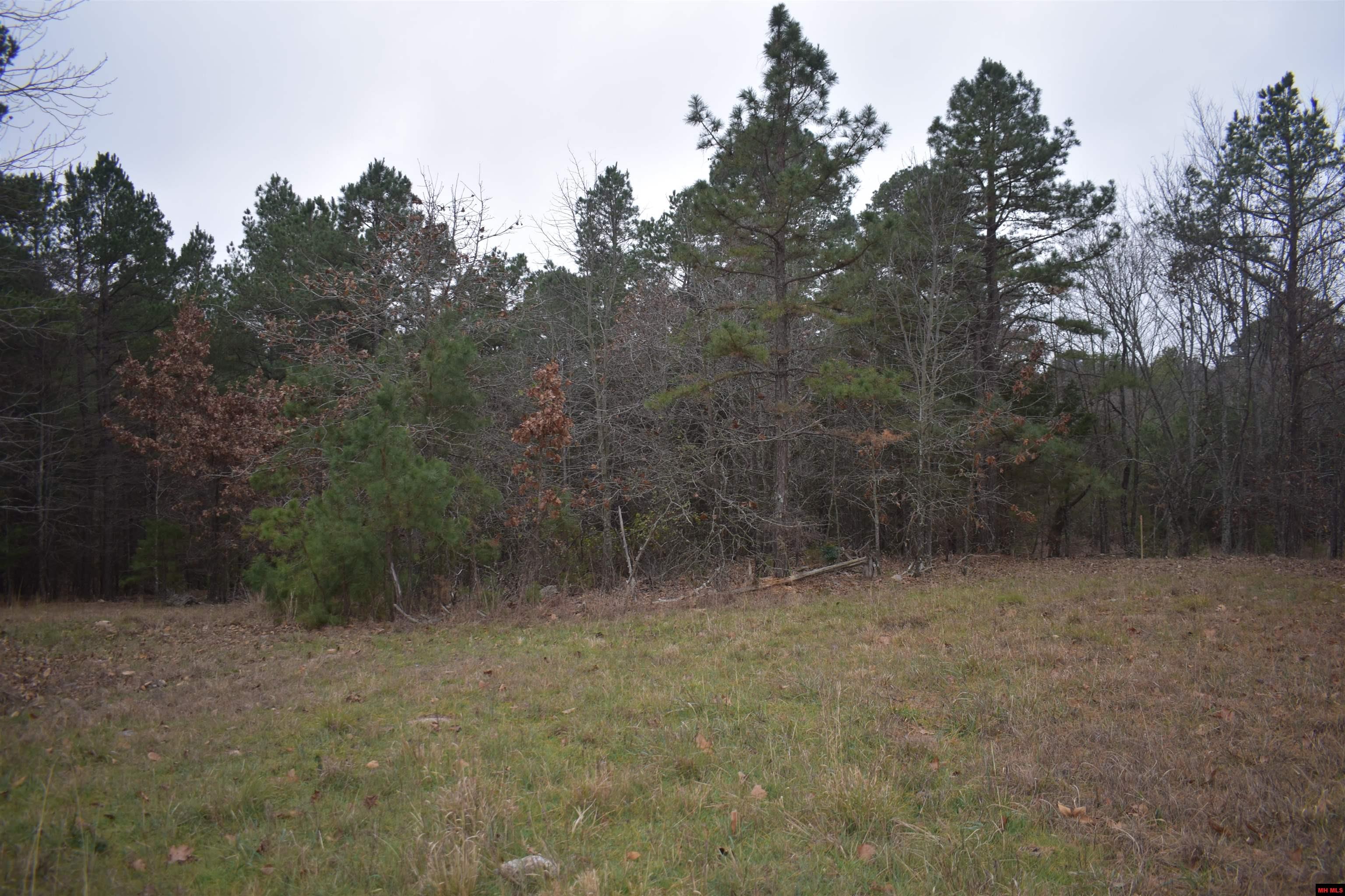 010-11219-038 Swiss Alps Lane